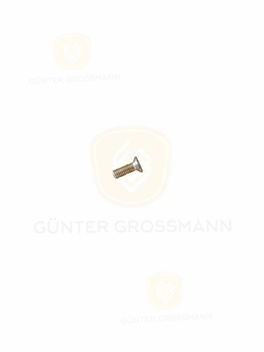 Śruba zabezpieczająca obudowy tulei G70x.png